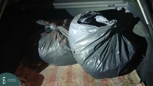 20251103_185501 L.jpg