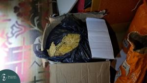 IMG-3ccccd74e1b0a91c9ca3ea3680088521-V L.jpg