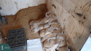 20251021_135639 L.jpg