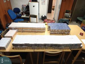 IMG_20251022_013355 L.jpg