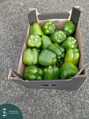 IMG_20251119_113442 L.jpg