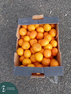 IMG_20251119_113457 L.jpg