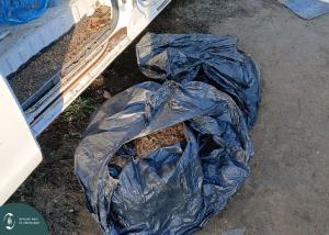 20251203_090044 L.jpg