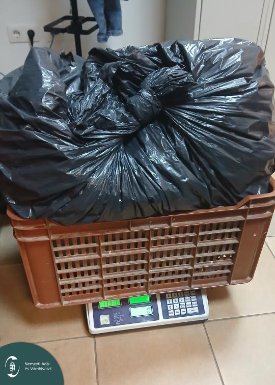 20251103_191119 L.jpg