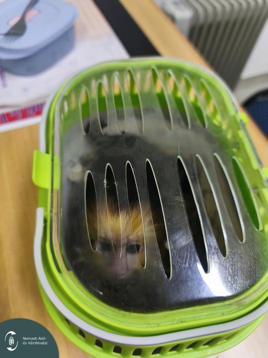 IMG_20260119_015037 L.jpg