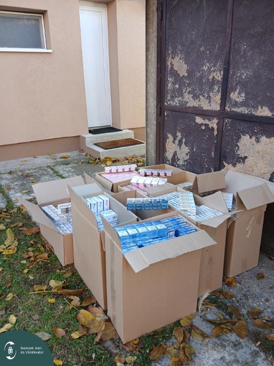 20251031_080741 L.jpg