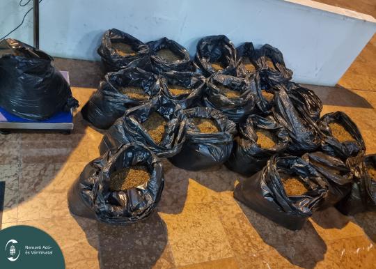 20260203_015232 L.jpg