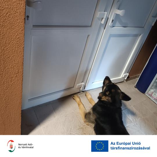 kutya EU L.jpg