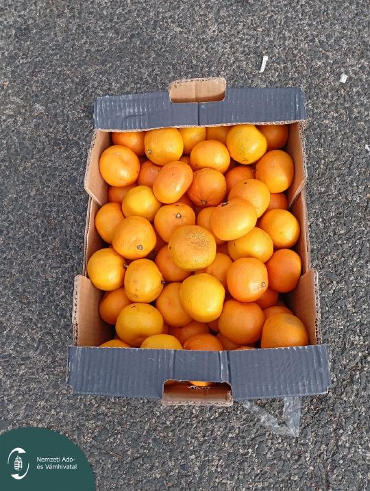 IMG_20251119_113457 L.jpg